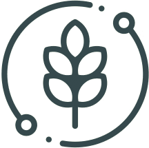 Prodotti del Territorio